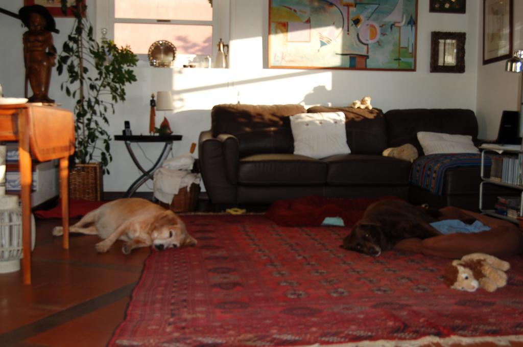 Isa'S Home Σίντρα Εξωτερικό φωτογραφία
