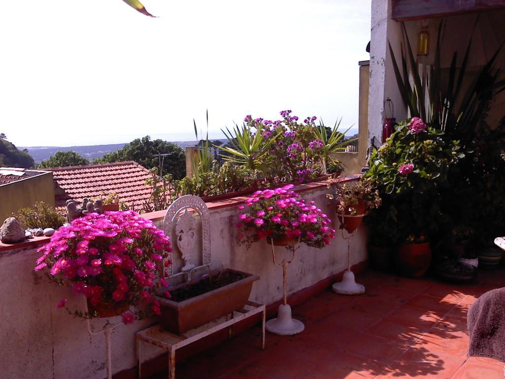 Isa'S Home Σίντρα Εξωτερικό φωτογραφία